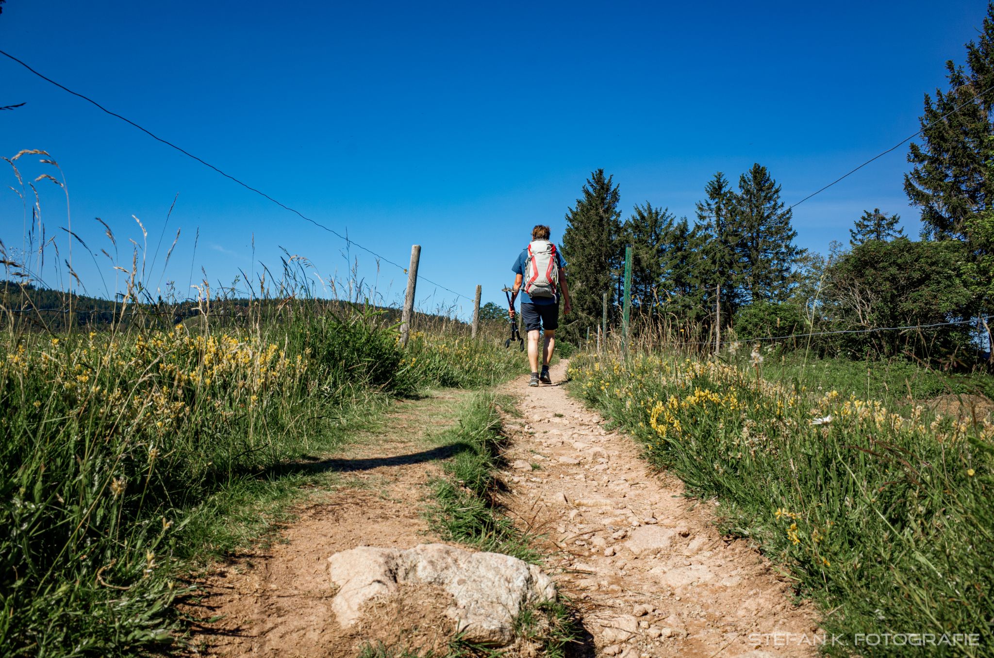 Am Westweg kurz vorm Wiedener Eck